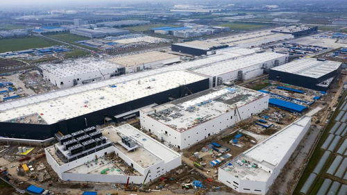 實探上海特斯拉工廠 Model Y兩個月后或投產，海維森生物附近迎來求職熱潮