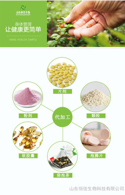 多種維生素礦物質顆粒山東恒佳生物